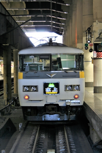 JR東日本 クハ185形 クハ185-315 鉄道フォト・写真 by 鉄道のお爺さんさん ：2008年12月03日11時ごろ