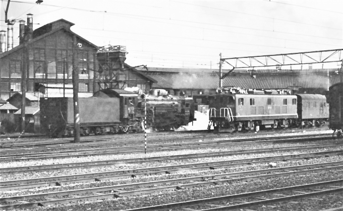 国鉄ED45形電気機関車と国鉄C60形蒸気機関車 ED45 と C60 鉄道フォト・写真 by 鉄道のお爺さんさん ：1963年04月02日00時ごろ