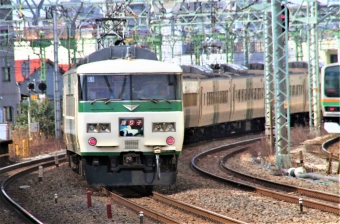 JR東日本 クハ185形 クハ185-115 鉄道フォト・写真 by 鉄道のお爺さんさん ：2014年03月09日10時ごろ