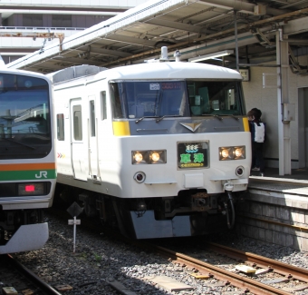 JR東日本 クハ185形 クハ185-201 鉄道フォト・写真 by 鉄道のお爺さんさん ：2013年05月12日09時ごろ