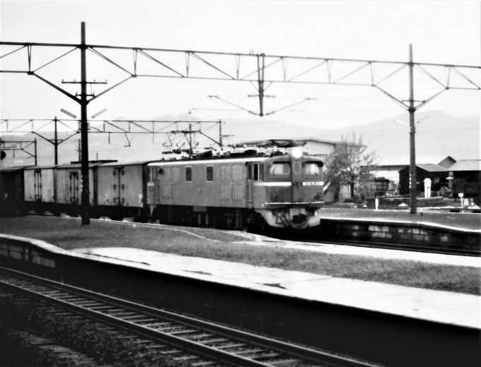 国鉄ED71形電気機関車 ED71 31 鉄道フォト・写真 by 鉄道のお爺さんさん ：1965年06月10日00時ごろ
