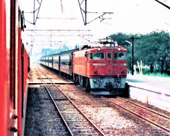 国鉄ED75形電気機関車 ED75 116 鉄道フォト・写真 by 鉄道のお爺さんさん ：1965年05月27日00時ごろ