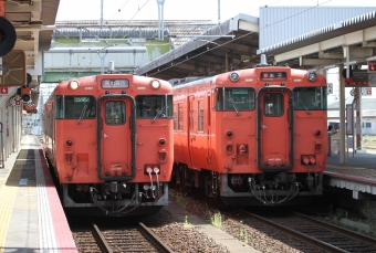 JR西日本 キハ47形 キハ47 2006 と キハ47 2017 鉄道フォト・写真 by 鉄道のお爺さんさん ：2017年05月29日10時ごろ