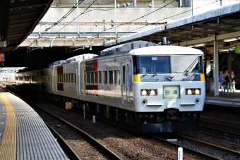 JR東日本 クハ185形 クハ185-201 鉄道フォト・写真 by 鉄道のお爺さんさん ：2013年05月12日08時ごろ