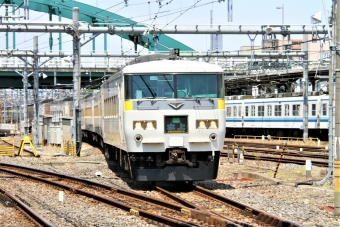 JR東日本 クハ185形 クハ185-202 鉄道フォト・写真 by 鉄道のお爺さんさん ：2013年05月04日12時ごろ