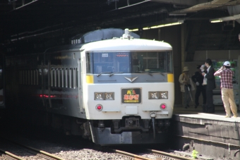 JR東日本 クハ185形 クハ185-208 鉄道フォト・写真 by 鉄道のお爺さんさん ：2013年05月12日09時ごろ