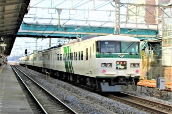 JR東日本 クハ185形 クハ185-208 鉄道フォト・写真 by 鉄道のお爺さんさん ：2015年11月07日10時ごろ