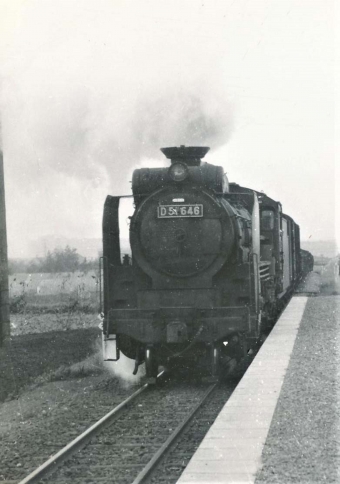 国鉄D51形蒸気機関車 D51 646 鉄道フォト・写真 by 鉄道のお爺さんさん ：1960年11月03日00時ごろ