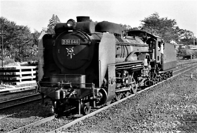 国鉄D51形蒸気機関車 D51 646 鉄道フォト・写真 by 鉄道のお爺さんさん ：1961年09月03日00時ごろ