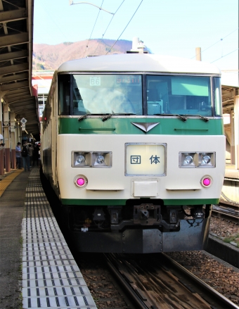 JR東日本 クハ185形 クハ185-212 鉄道フォト・写真 by 鉄道のお爺さんさん ：2022年11月26日11時ごろ