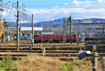 JR東日本 国鉄EF81形電気機関車 EF81 97 鉄道フォト・写真 by 鉄道のお爺さんさん ：2022年11月26日13時ごろ