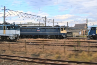 JR東日本 国鉄EF65形電気機関車 EF65 2087 鉄道フォト・写真 by 鉄道のお爺さんさん ：2022年11月26日09時ごろ