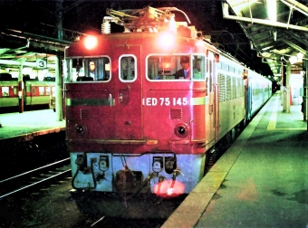 国鉄ED75形電気機関車 ED75 145 鉄道フォト・写真 by 鉄道のお爺さんさん ：1988年08月27日00時ごろ