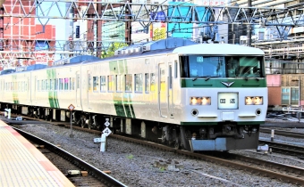 JR東日本 クハ185形 クハ185-212 鉄道フォト・写真 by 鉄道のお爺さんさん ：2022年04月30日08時ごろ