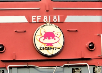 JR東日本 国鉄EF81形電気機関車 EF81 81 鉄道フォト・写真 by 鉄道のお爺さんさん ：2022年12月03日14時ごろ