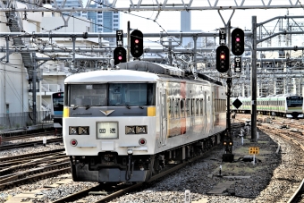 JR東日本 クハ185形 クハ185-201 鉄道フォト・写真 by 鉄道のお爺さんさん ：2013年05月12日08時ごろ