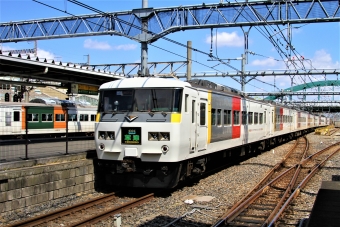JR東日本 クハ185形 クハ185-301 鉄道フォト・写真 by 鉄道のお爺さんさん ：2013年05月12日09時ごろ