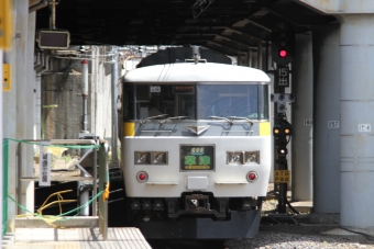 JR東日本 クハ185形 クハ185-211 鉄道フォト・写真 by 鉄道のお爺さんさん ：2013年05月19日10時ごろ