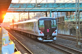 JR東日本 クハE257形 クハE257-5510 鉄道フォト・写真 by 鉄道のお爺さんさん ：2023年01月08日16時ごろ