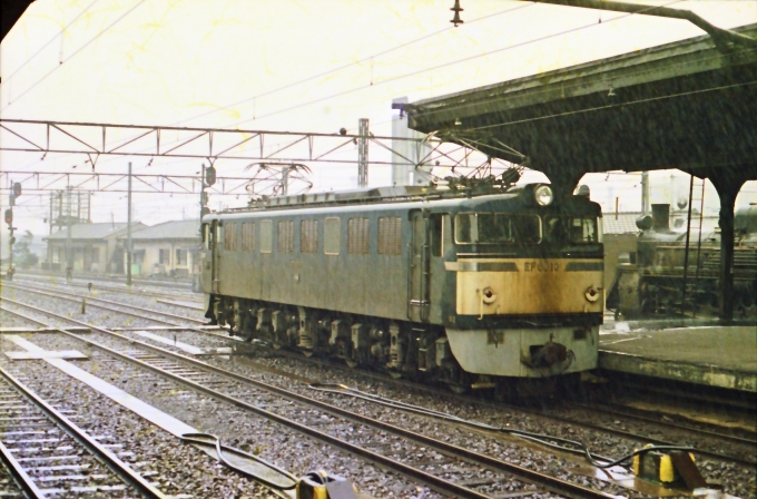国鉄EF60形電気機関車 EF60 10 鉄道フォト・写真 by 鉄道のお爺さんさん ：1967年06月04日00時ごろ