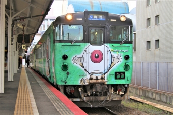 JR西日本 キハ40形 キハ40 2095 鉄道フォト・写真 by 鉄道のお爺さんさん ：2017年04月10日17時ごろ