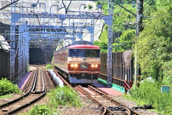 JR東日本 クハ185形 クハ185-314 鉄道フォト・写真 by 鉄道のお爺さんさん ：2014年05月17日10時ごろ