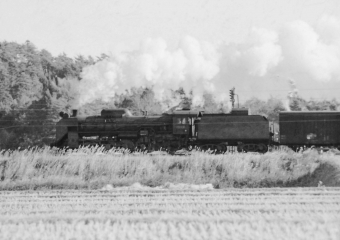 国鉄D51形蒸気機関車 鉄道フォト・写真 by 鉄道のお爺さんさん ：1965年12月02日00時ごろ
