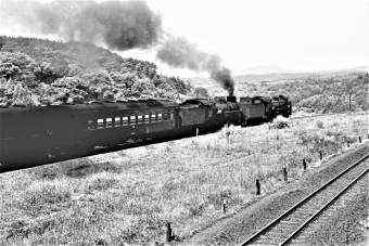 国鉄D51形蒸気機関車とC60形蒸気機関車 鉄道フォト・写真 by 鉄道のお爺さんさん ：1964年07月04日00時ごろ