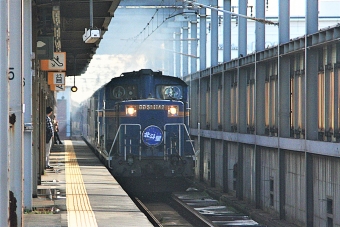 JR北海道 国鉄DD51形ディーゼル機関車 DD51 1142 鉄道フォト・写真 by 鉄道のお爺さんさん ：2012年10月29日11時ごろ