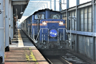 JR北海道 国鉄DD51形ディーゼル機関車 DD51 1142 鉄道フォト・写真 by 鉄道のお爺さんさん ：2012年10月29日11時ごろ