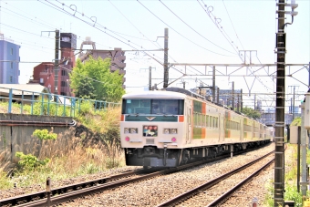 JR東日本 クハ185形 クハ185-8 鉄道フォト・写真 by 鉄道のお爺さんさん ：2013年04月28日12時ごろ