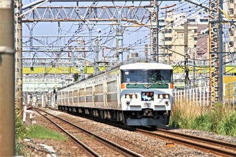 JR東日本 クハ185形 クハ185-11 鉄道フォト・写真 by 鉄道のお爺さんさん ：2013年05月05日13時ごろ