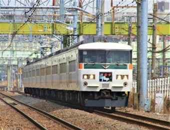 JR東日本 クハ185形 クハ185-11 鉄道フォト・写真 by 鉄道のお爺さんさん ：2013年03月20日11時ごろ
