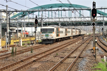 JR東日本 クハ185形 クハ185-11 鉄道フォト・写真 by 鉄道のお爺さんさん ：2014年07月24日08時ごろ