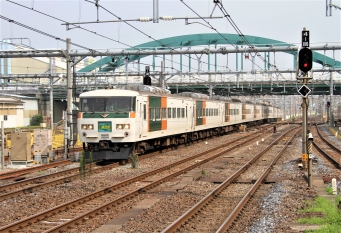 JR東日本 クハ185形 クハ185-11 鉄道フォト・写真 by 鉄道のお爺さんさん ：2014年07月24日08時ごろ