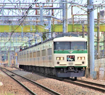 JR東日本 クハ185形 クハ185-15 鉄道フォト・写真 by 鉄道のお爺さんさん ：2013年03月23日10時ごろ