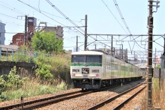 JR東日本 クハ185形 クハ185-101 鉄道フォト・写真 by 鉄道のお爺さんさん ：2016年05月05日10時ごろ