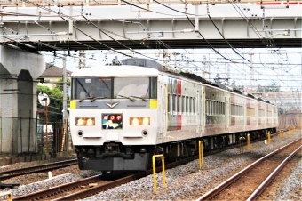 JR東日本 クハ185形 クハ185-215 鉄道フォト・写真 by 鉄道のお爺さんさん ：2015年10月31日10時ごろ