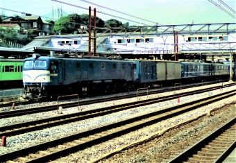 国鉄EF58形電気機関車 EF58 172 鉄道フォト・写真 by 鉄道のお爺さんさん ：1983年09月21日00時ごろ