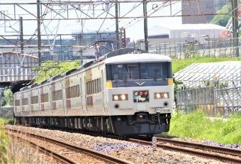 JR東日本 クハ185形 クハ185-315 鉄道フォト・写真 by 鉄道のお爺さんさん ：2014年05月03日11時ごろ