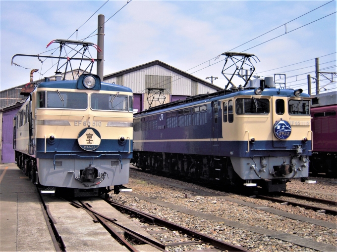 JR東日本 国鉄EF60形電気機関車と国鉄EF65型電気機関車 EF60 510 と EF65 1115 鉄道フォト・写真 by 鉄道のお爺さんさん ：2013年05月25日09時ごろ