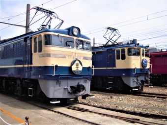 JR東日本 国鉄EF60形電気機関車と国鉄EF65型電気機関車 EF60 510 と EF65 1115 鉄道フォト・写真 by 鉄道のお爺さんさん ：2013年05月25日10時ごろ