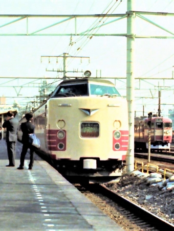 国鉄485系電車 クハ485形(Tc) 鉄道フォト・写真 by 鉄道のお爺さんさん ：1983年10月01日00時ごろ