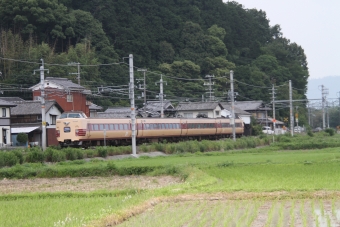 JR西日本 クハ381形 クハ381-1119 鉄道フォト・写真 by 鉄道のお爺さんさん ：2014年06月15日11時ごろ