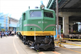 JR東日本 国鉄EF58形電気機関車 EF58 93 鉄道フォト・写真 by 鉄道のお爺さんさん ：2013年05月25日09時ごろ
