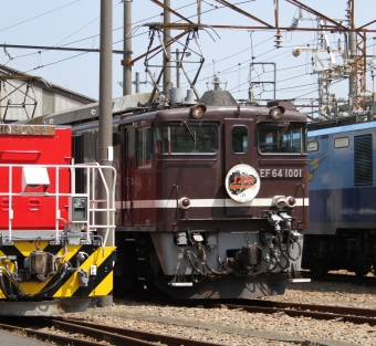 JR東日本 国鉄EF64形電気機関車 EF64 1001 鉄道フォト・写真 by 鉄道のお爺さんさん ：2014年05月24日09時ごろ