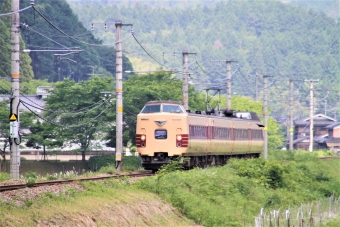 JR西日本 国鉄381系電車 クハ381形(Tc) 鉄道フォト・写真 by 鉄道のお爺さんさん ：2014年06月15日10時ごろ