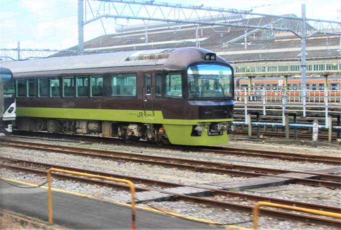 JR東日本 国鉄485系電車 クハ485形(Tc) クハ485-703 鉄道フォト・写真 by 鉄道のお爺さんさん ：2022年11月26日09時ごろ