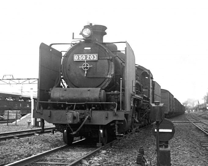 国鉄D50形蒸気機関車 D50 203 鉄道フォト・写真 by 鉄道のお爺さんさん ：1959年11月01日00時ごろ