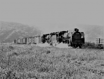 国鉄D51形蒸気機関車 Ｄ51 20 鉄道フォト・写真 by 鉄道のお爺さんさん ：1964年07月04日00時ごろ